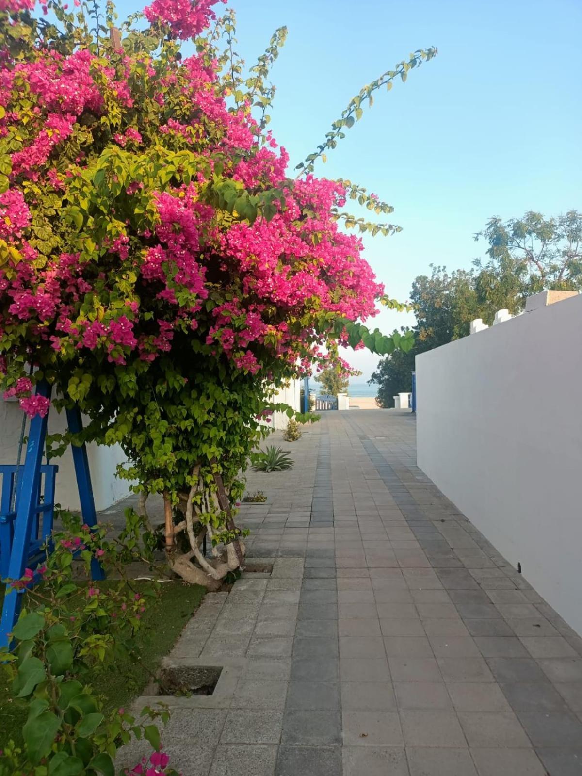 Al-Ashkhara Beach Resort منتجع شاطئ الأشخرة アッ・シャルキーヤ エクステリア 写真