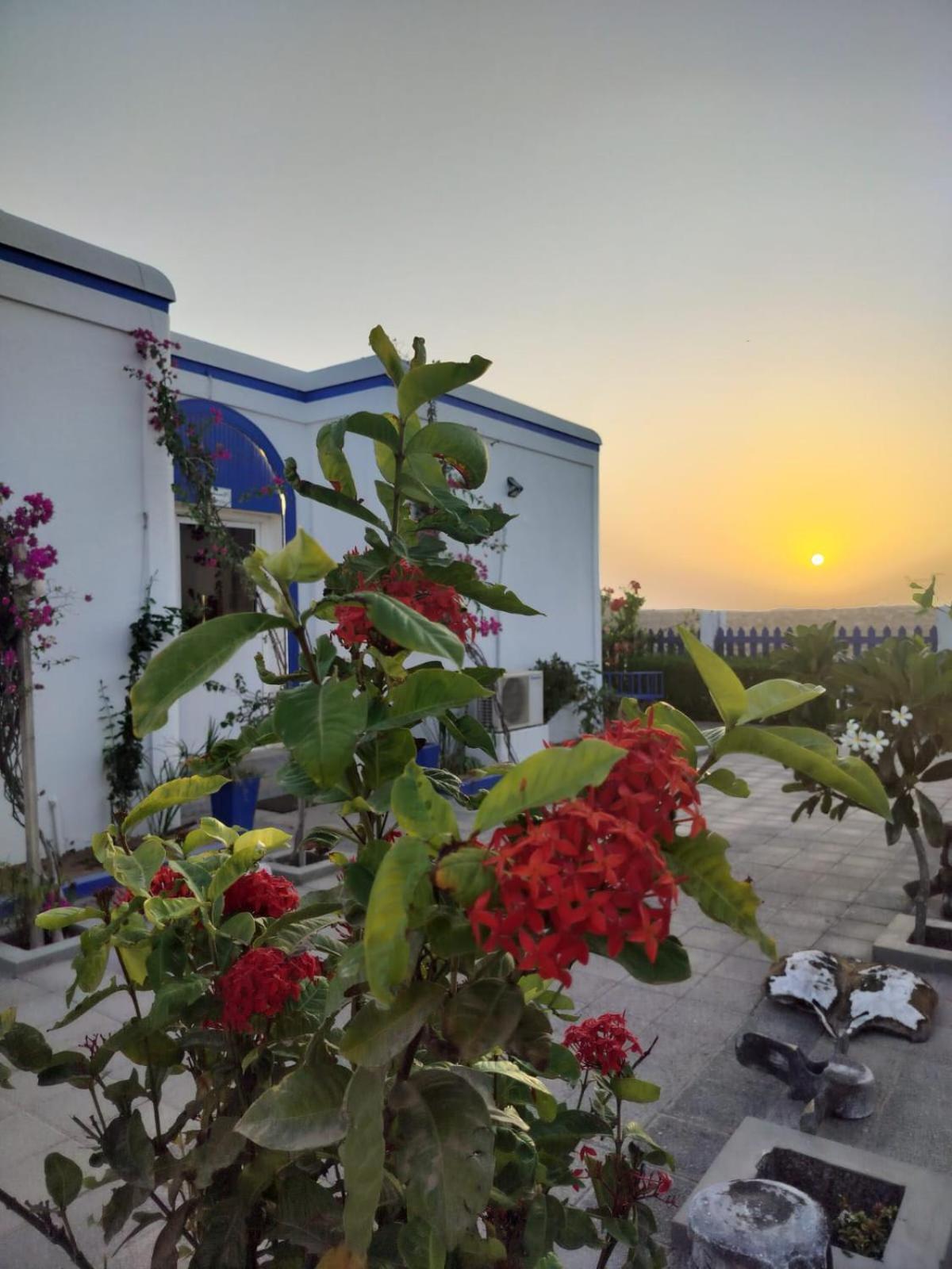 Al-Ashkhara Beach Resort منتجع شاطئ الأشخرة アッ・シャルキーヤ エクステリア 写真