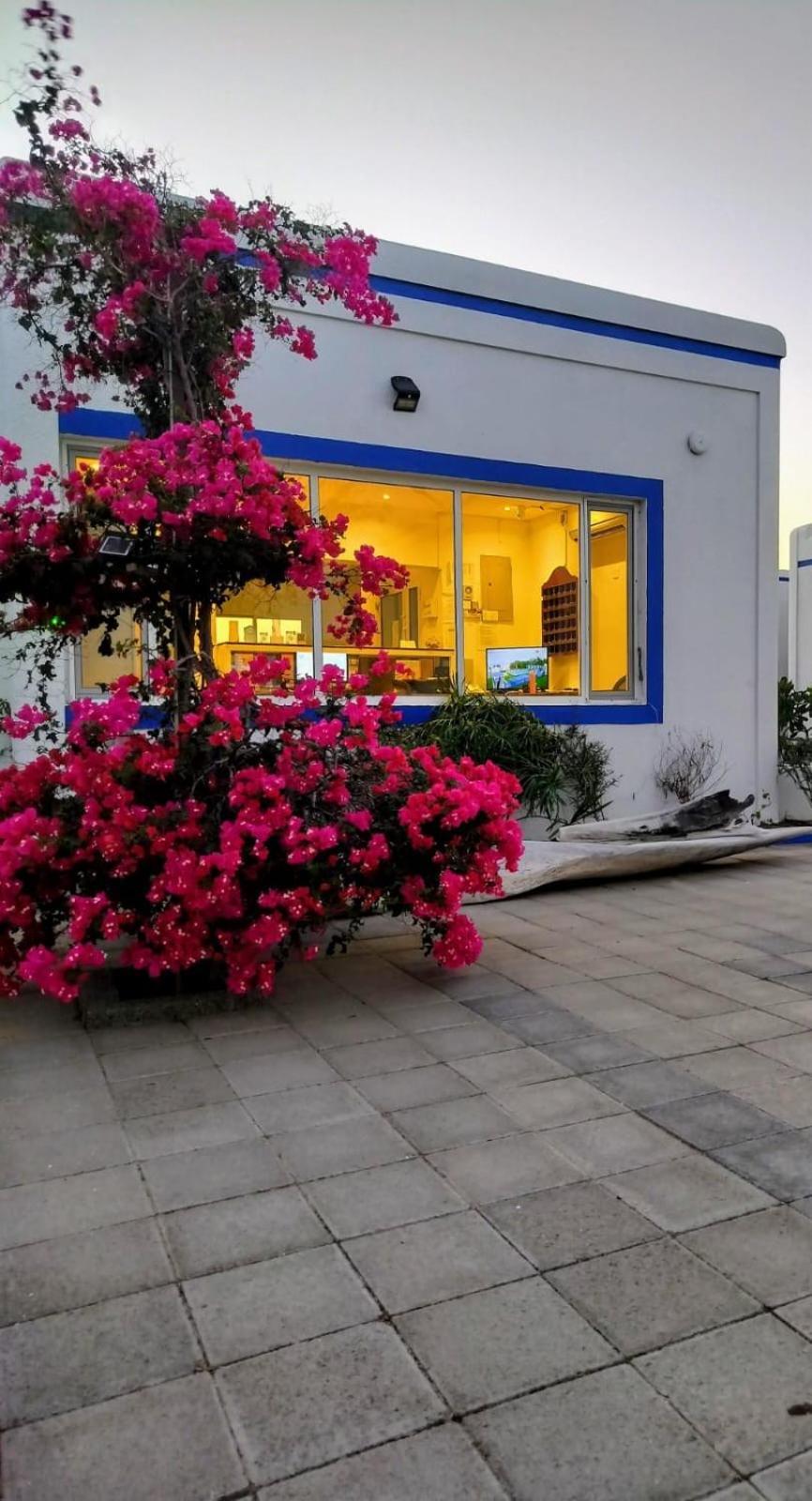 Al-Ashkhara Beach Resort منتجع شاطئ الأشخرة アッ・シャルキーヤ エクステリア 写真